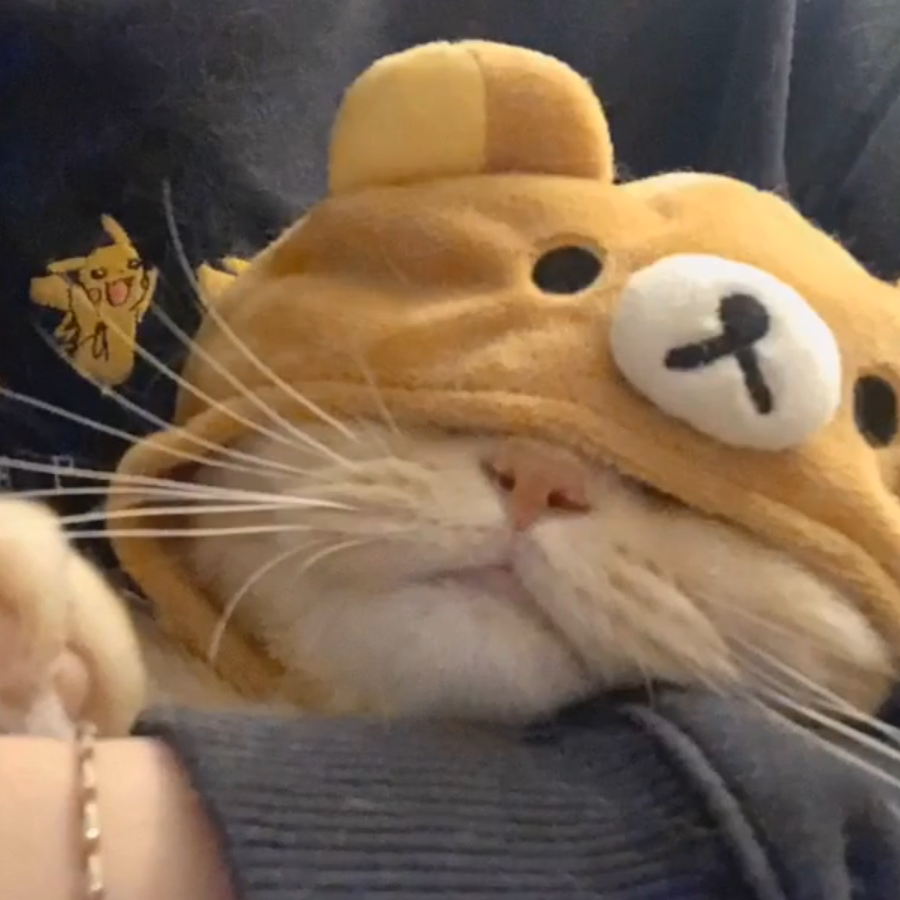 陨