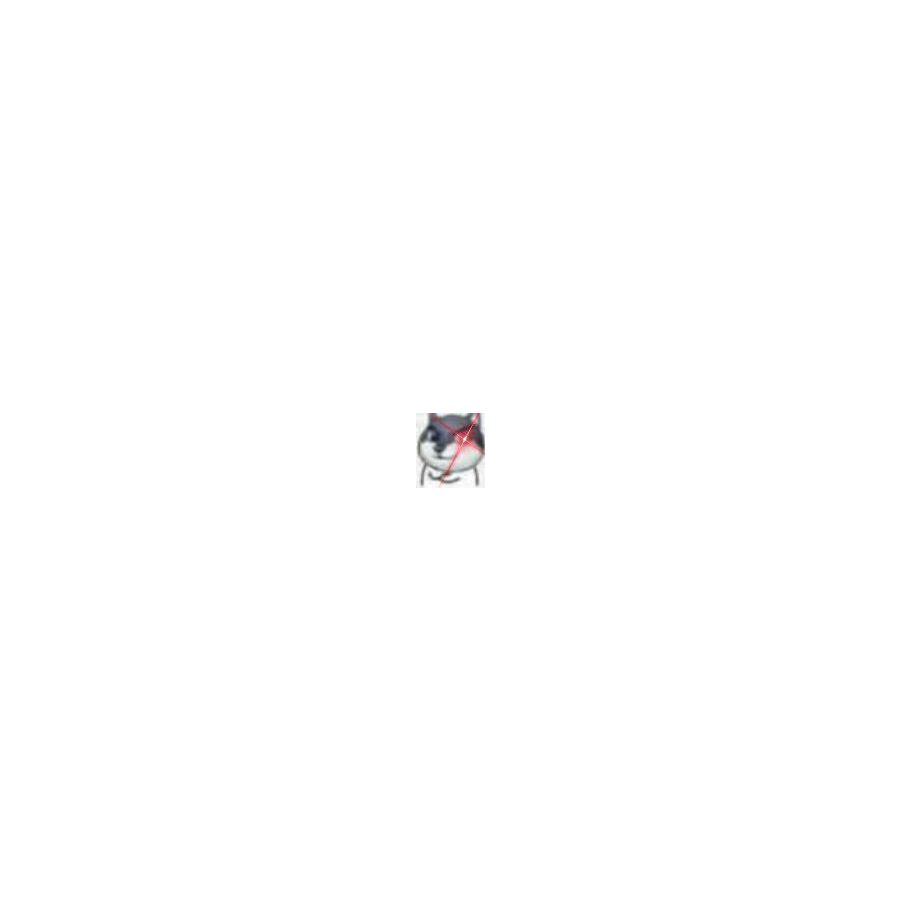 性感爷爷