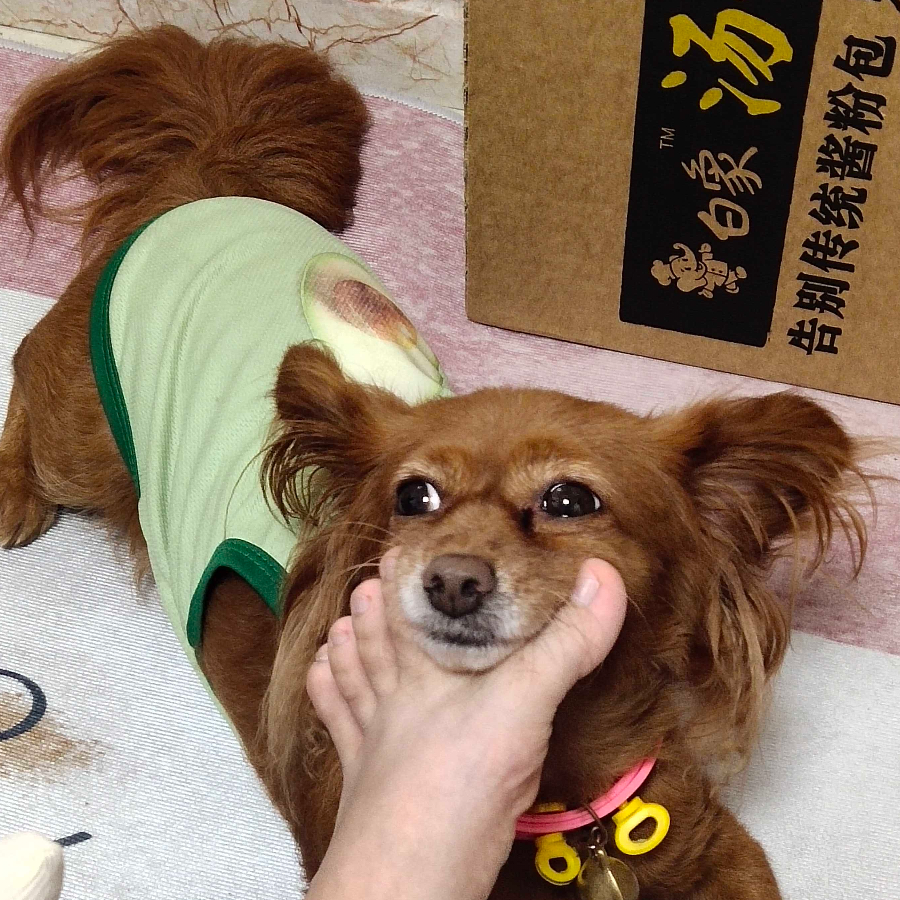 隔壁二狗子
