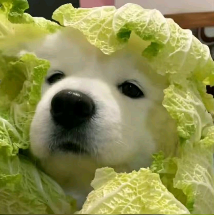 苏