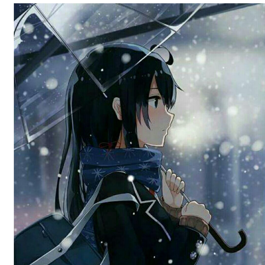 阳