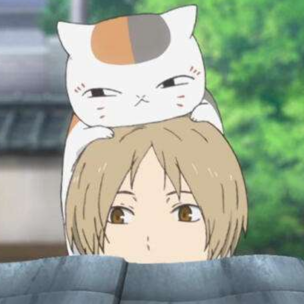 嘉康康