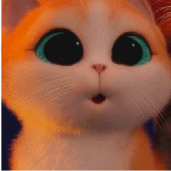 黑暗森林