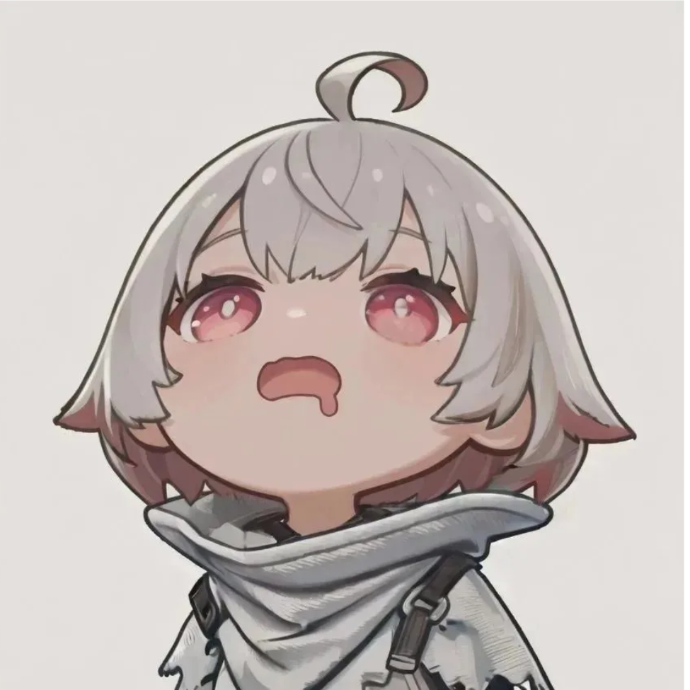 页老师
