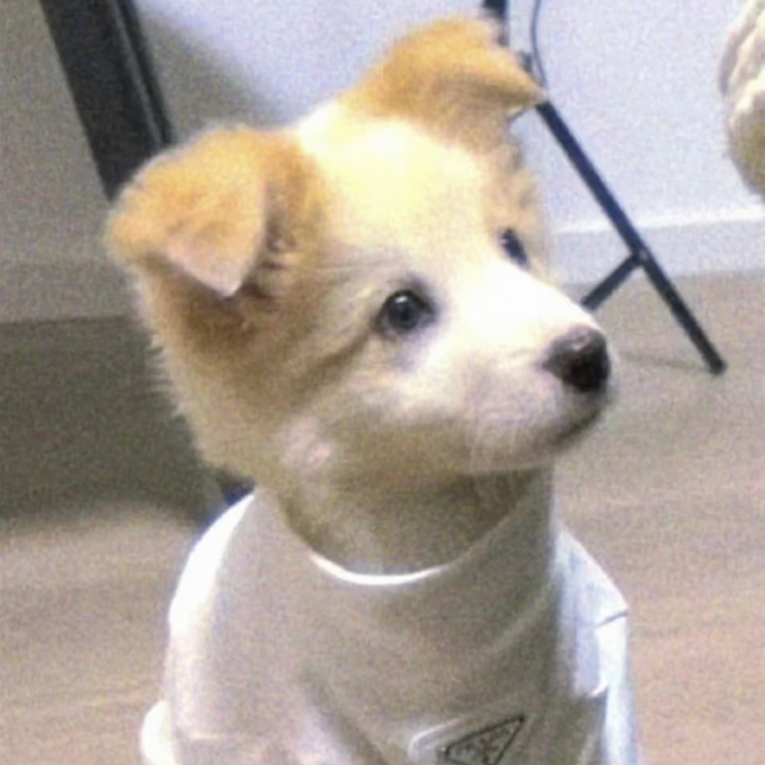 霖