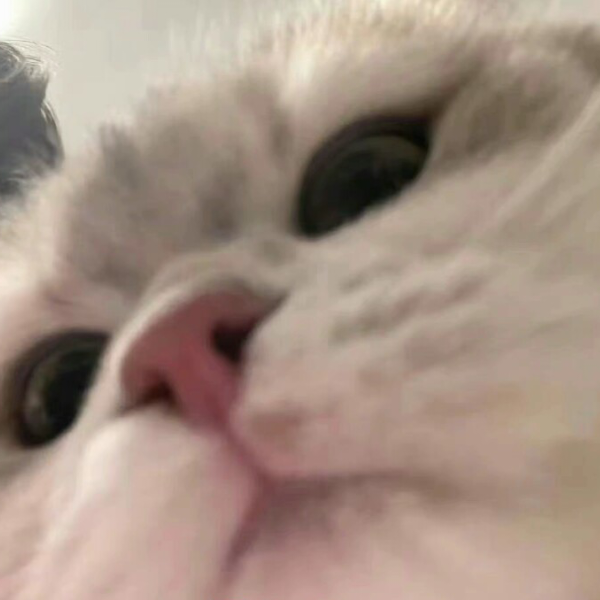 遇