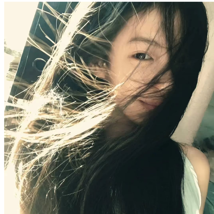 呆呆