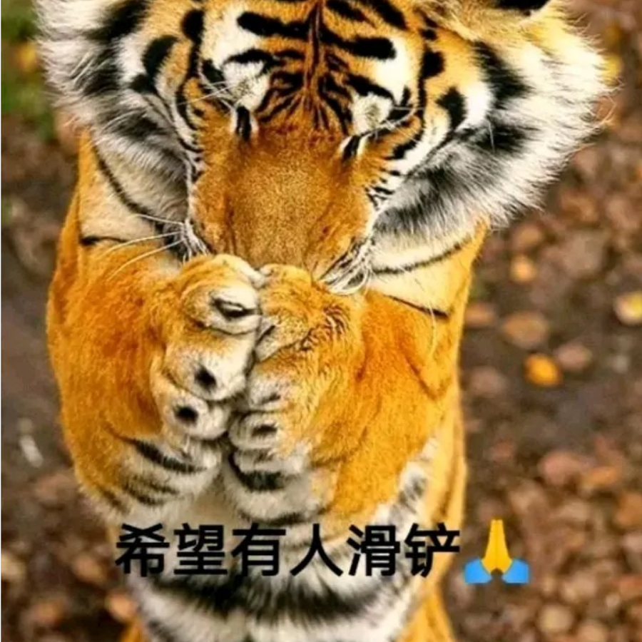 黑色信标