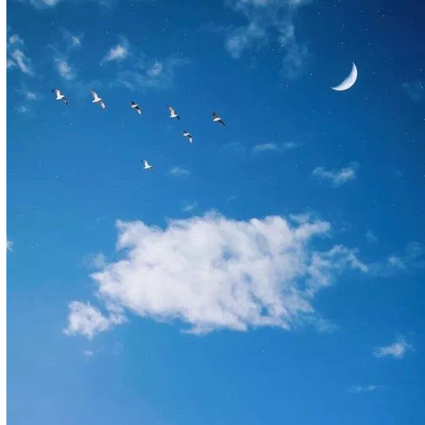 洛筱泽