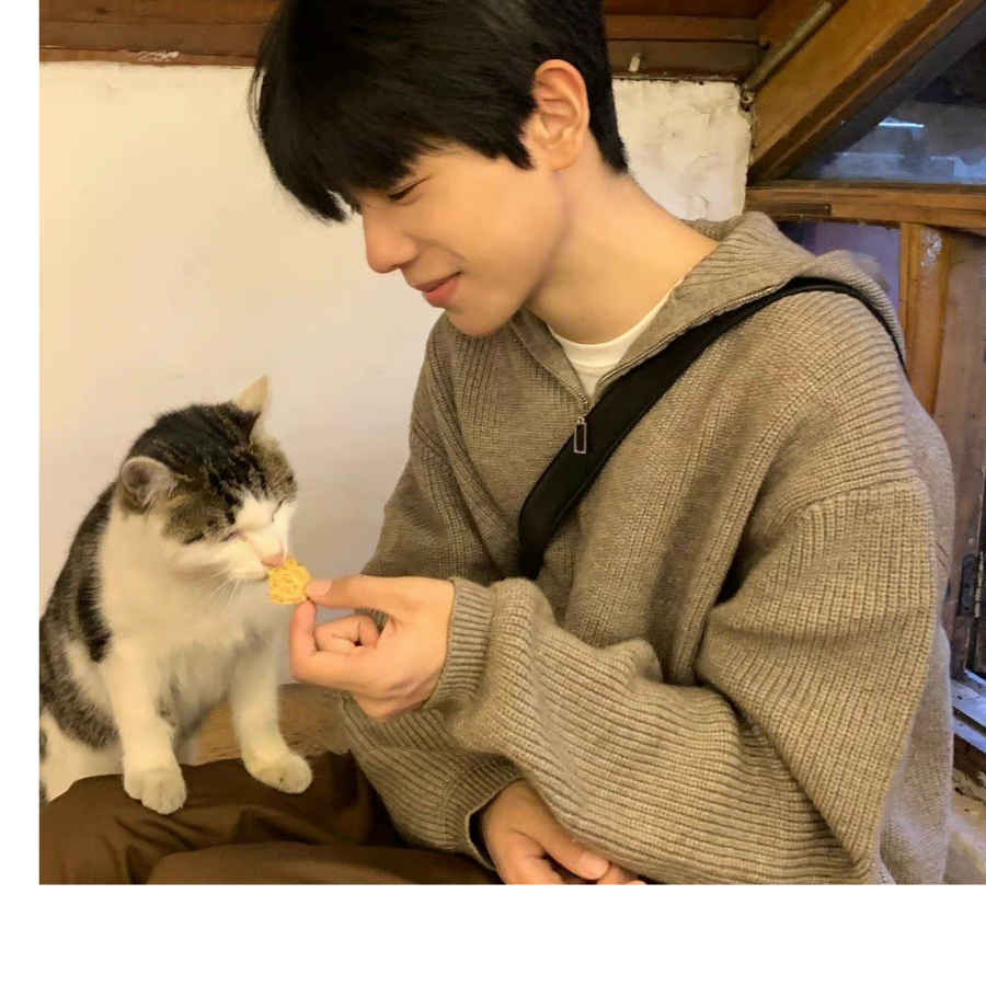 小猫爱吃鱼