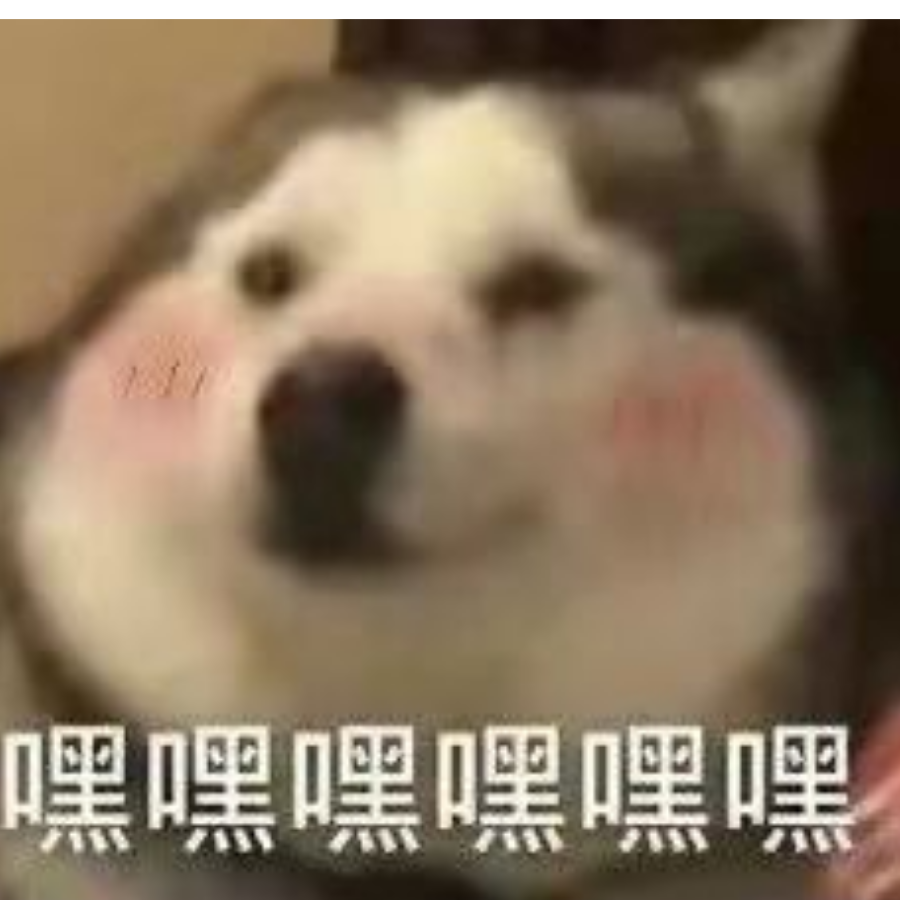 我如此热爱学习°