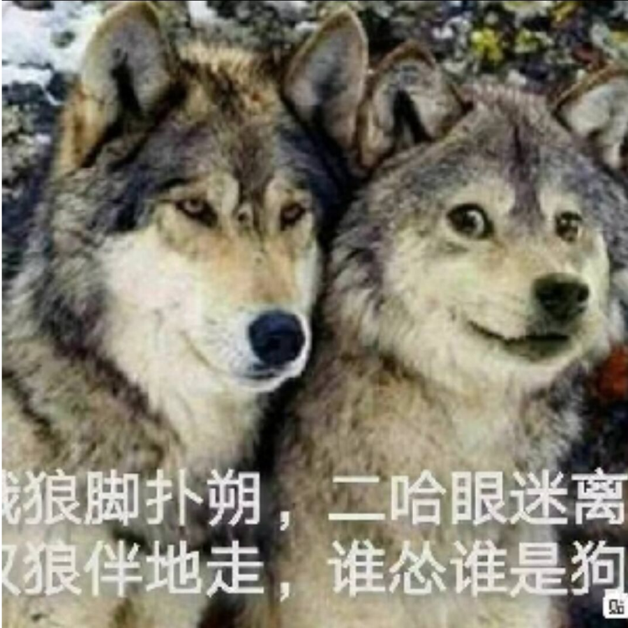 额呵呵哒
