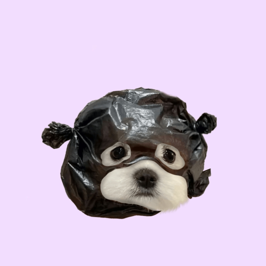溪水源