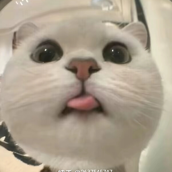 zxyxhcyj
