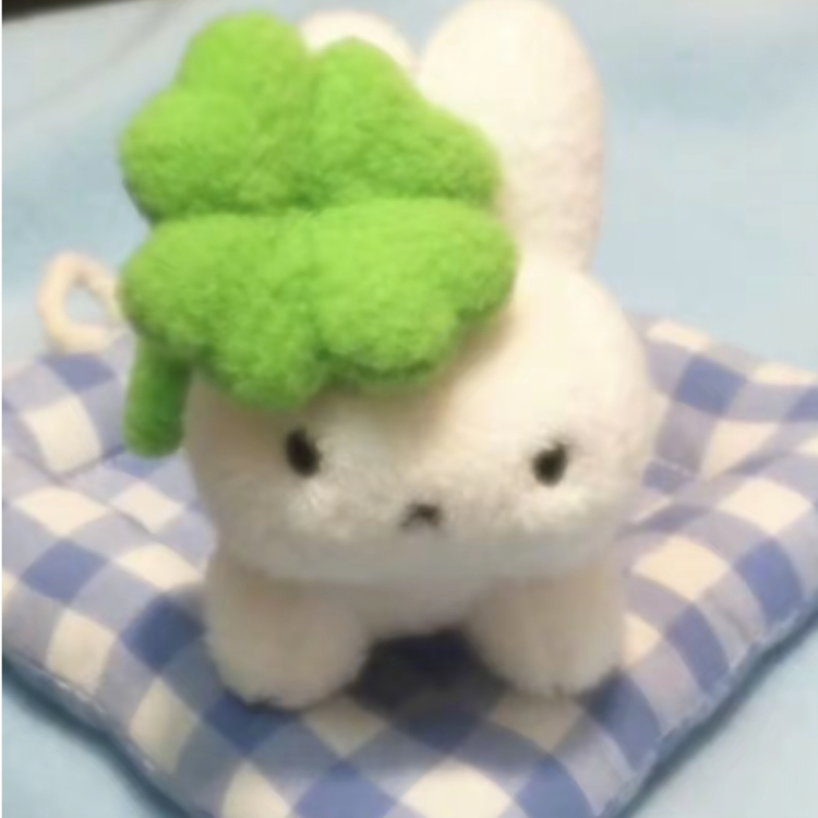 伊可可可可可可可可可可可可可可