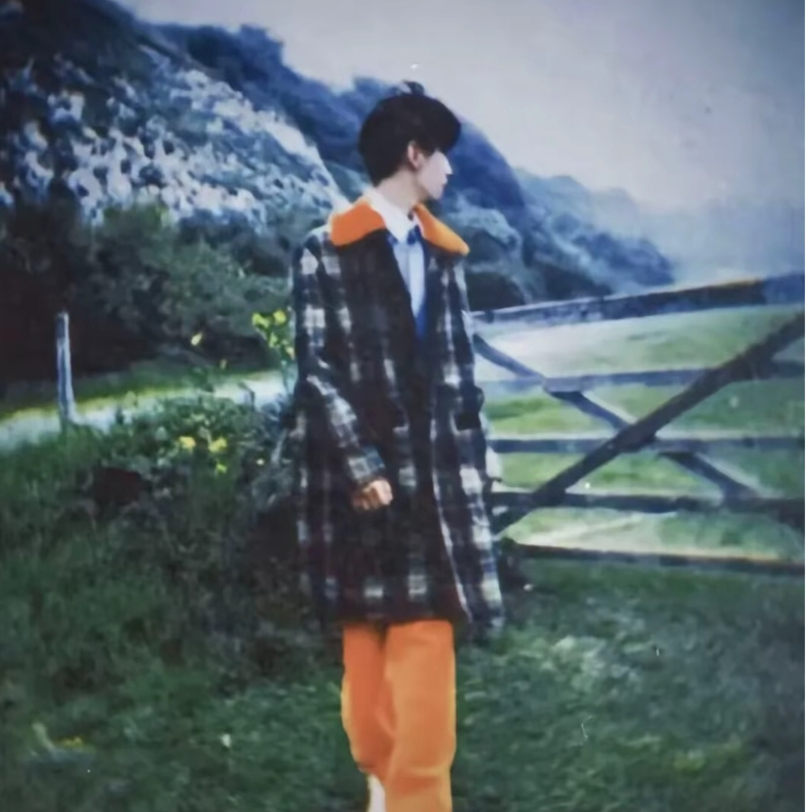 真心.