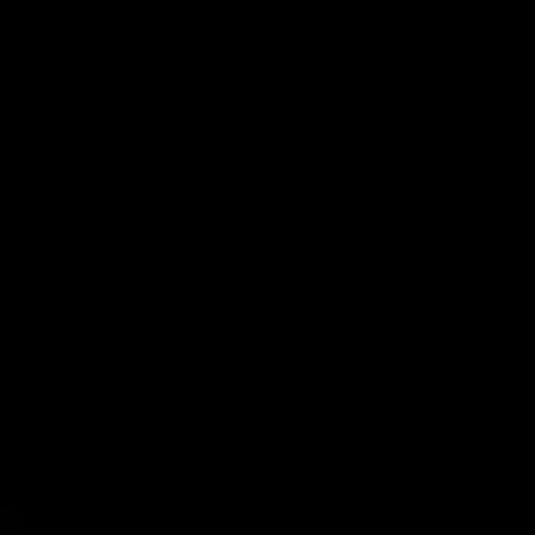 WMfour