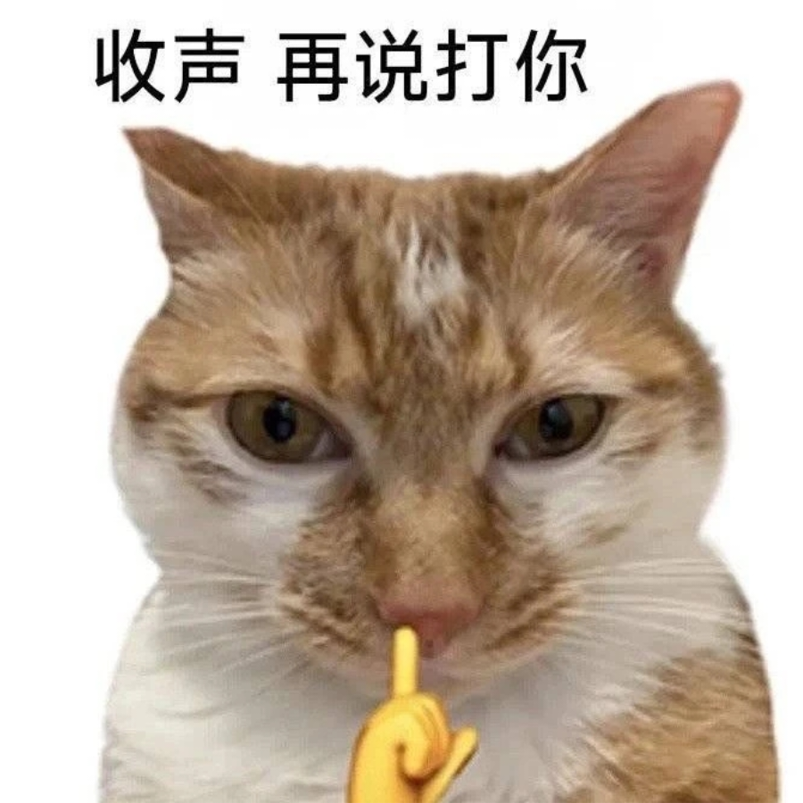 LLL大笨蛋