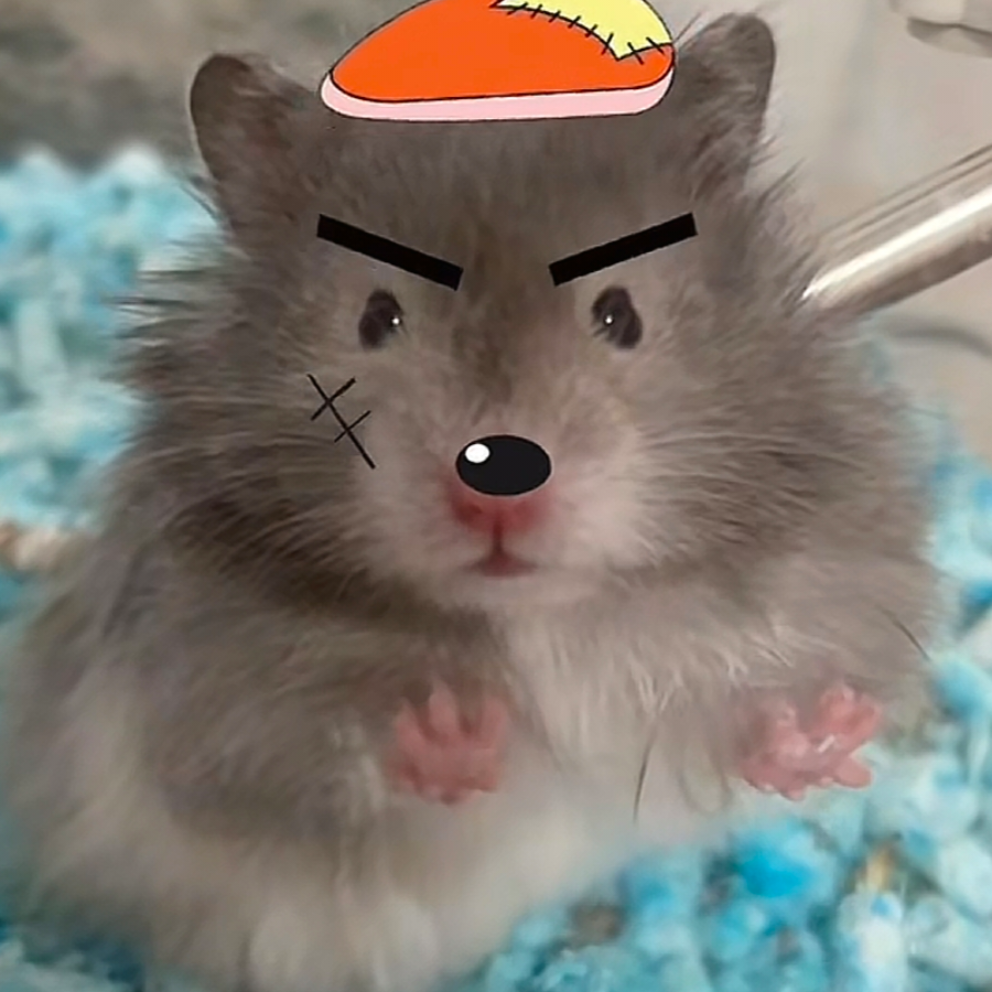 随风