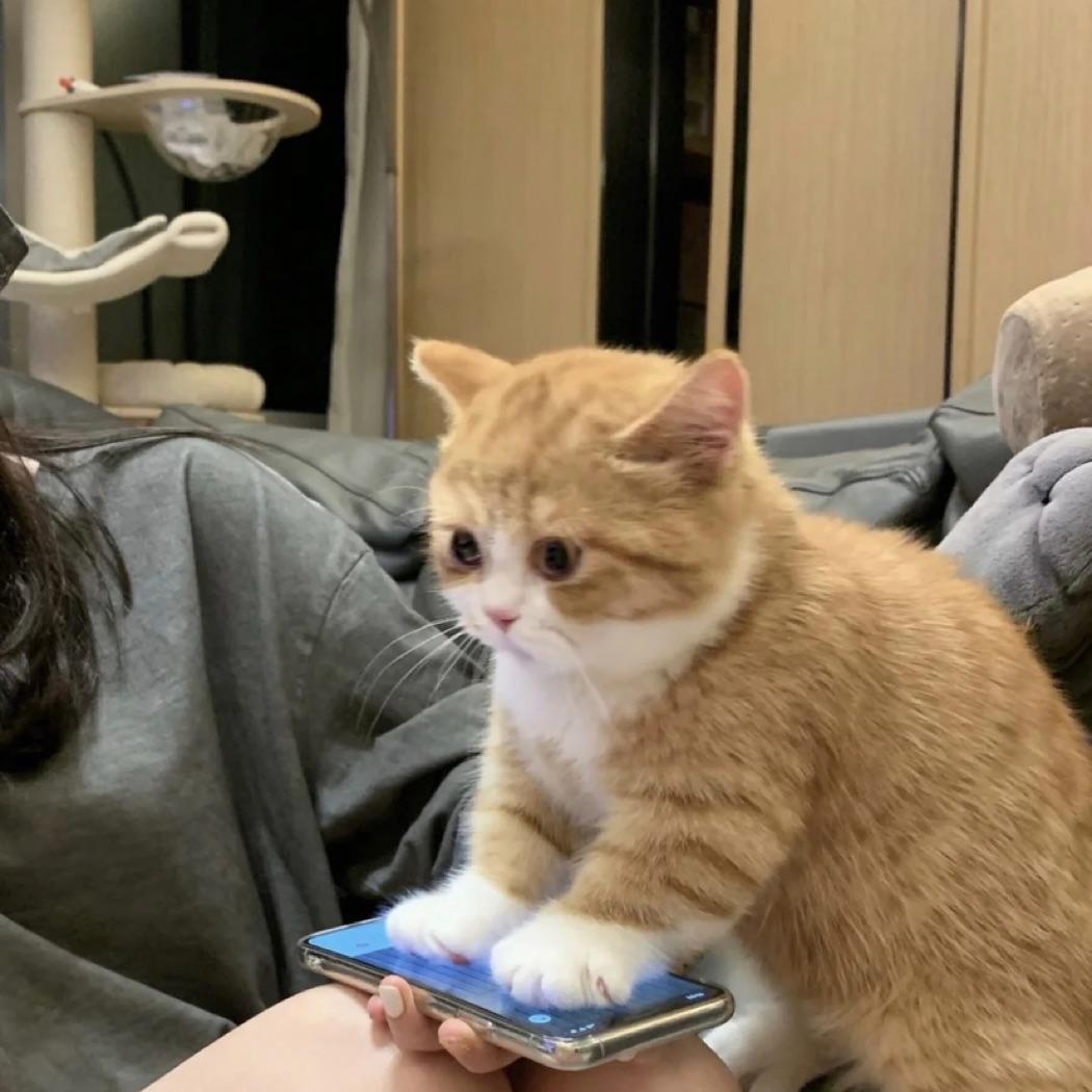 赟兮