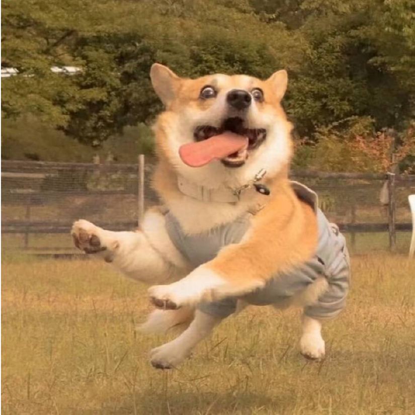 小柒
