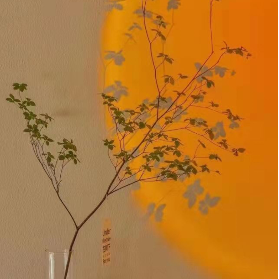 云乐
