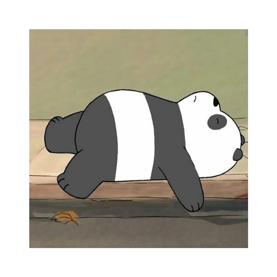 菜熊猫
