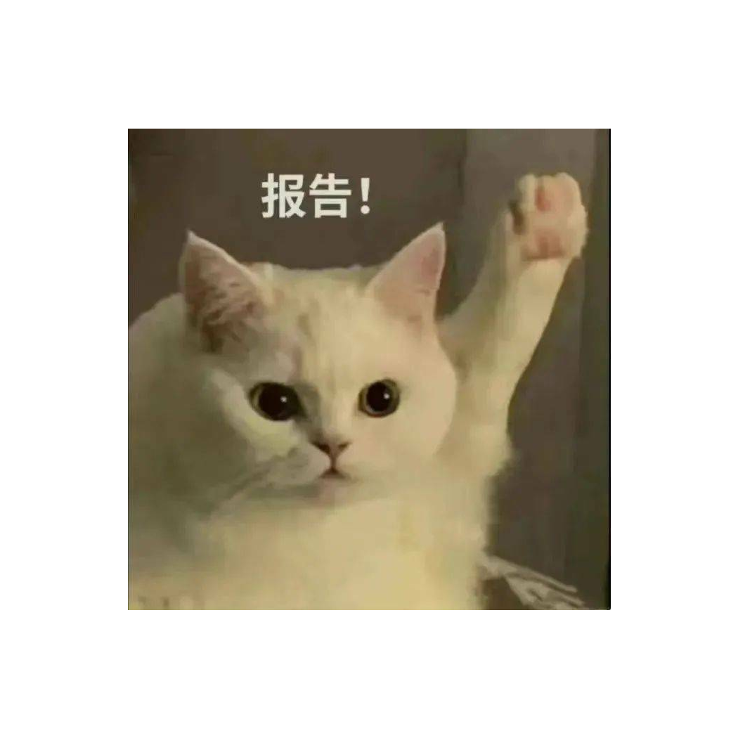 九流闲人