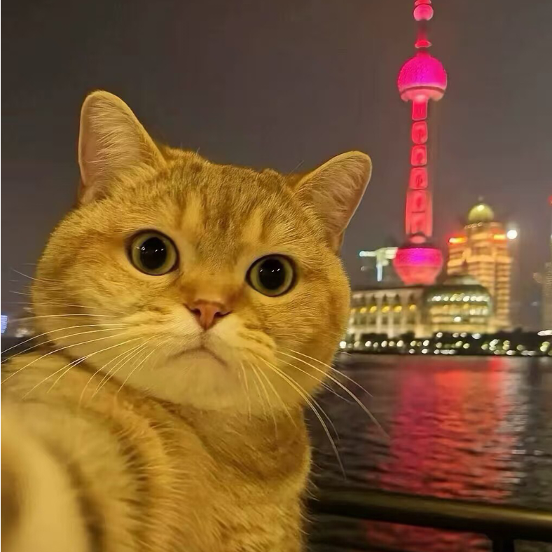 啊亮