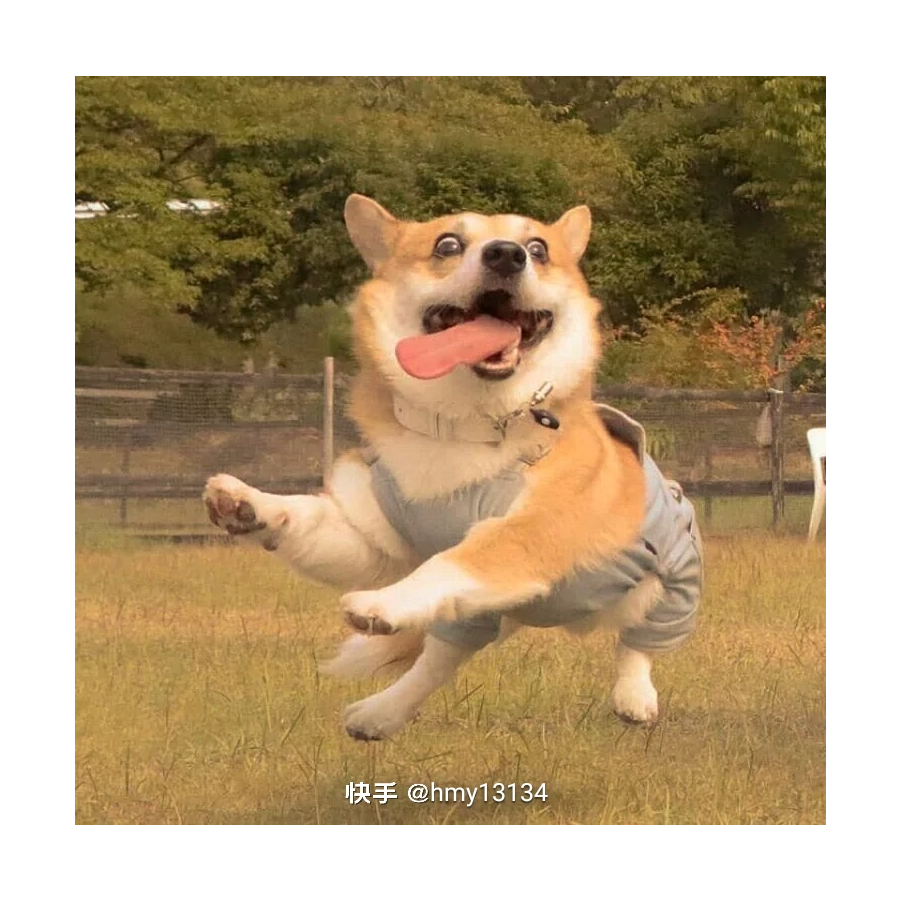 电子仿生羊