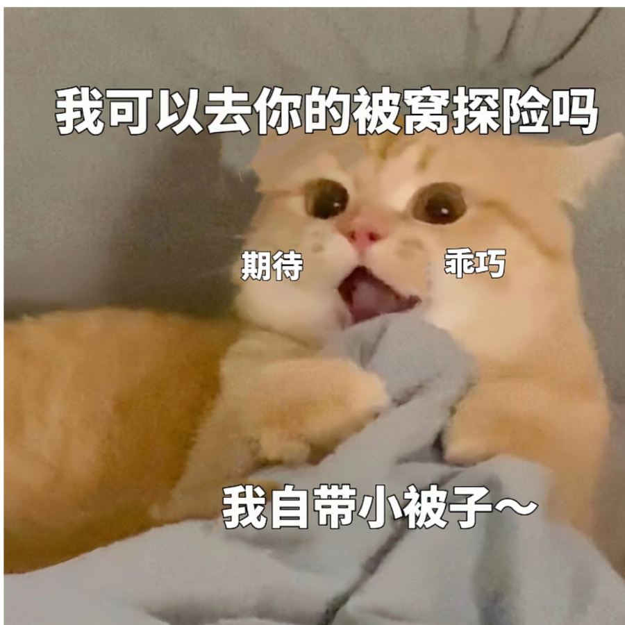 赴月
