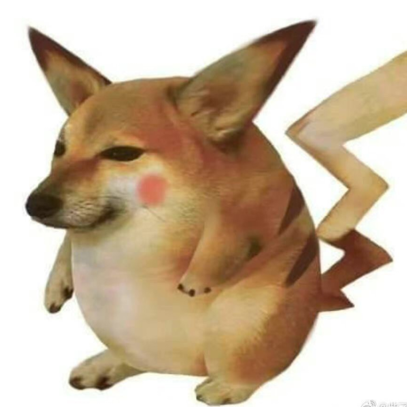 不晚