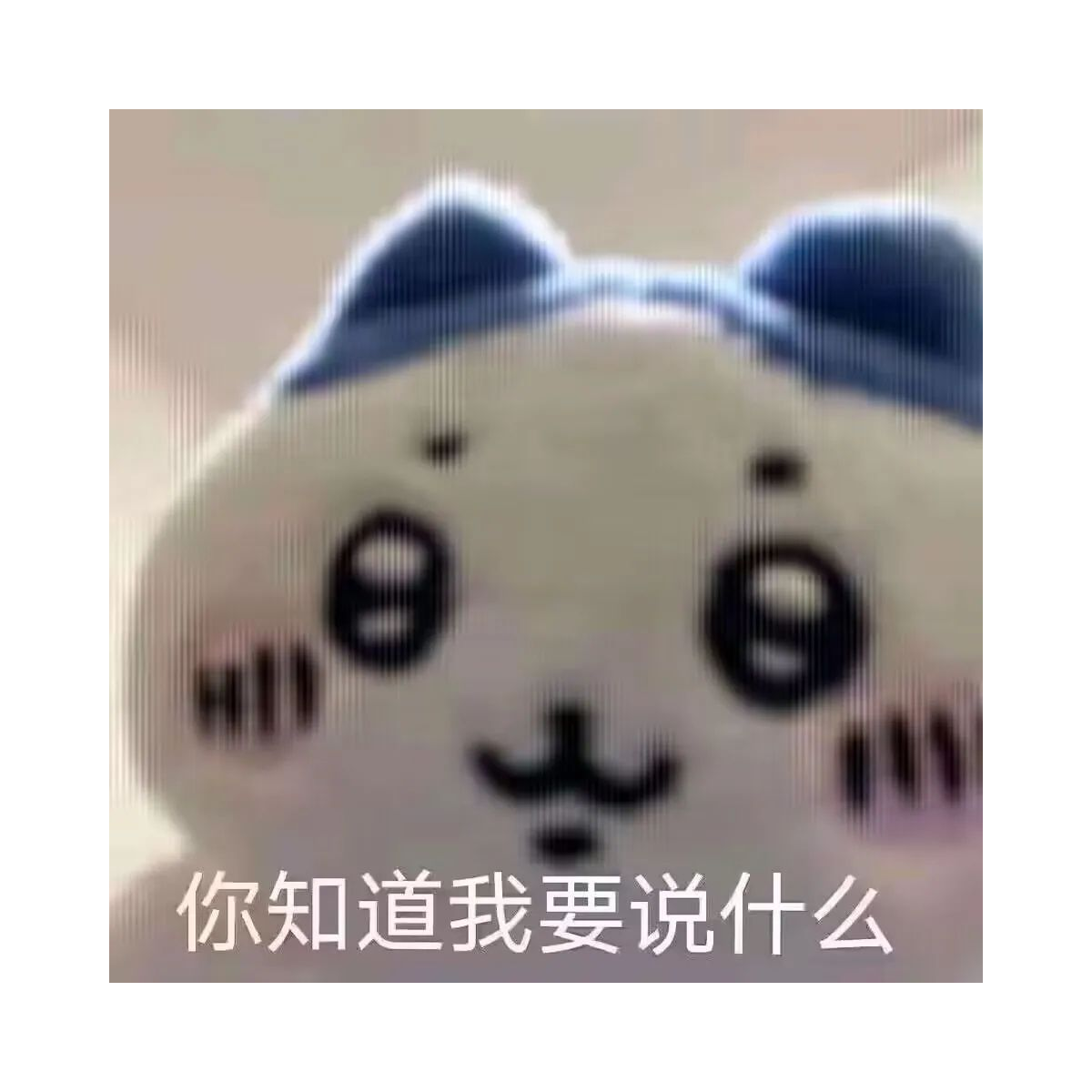 她与星河皆云游