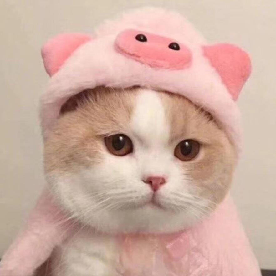 蔡文姬