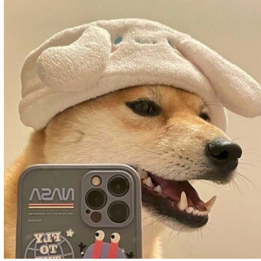 牢落陆离