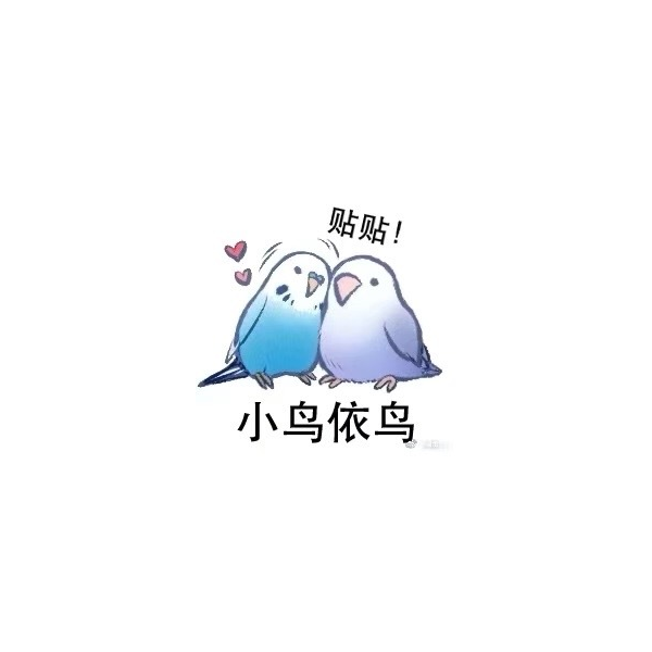 晚晚