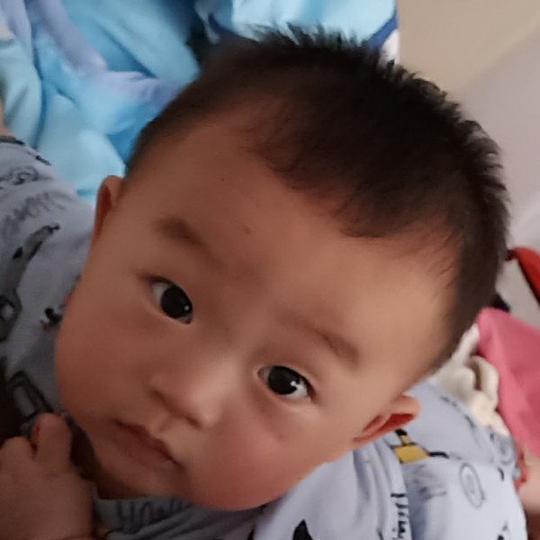 波特·古兰克