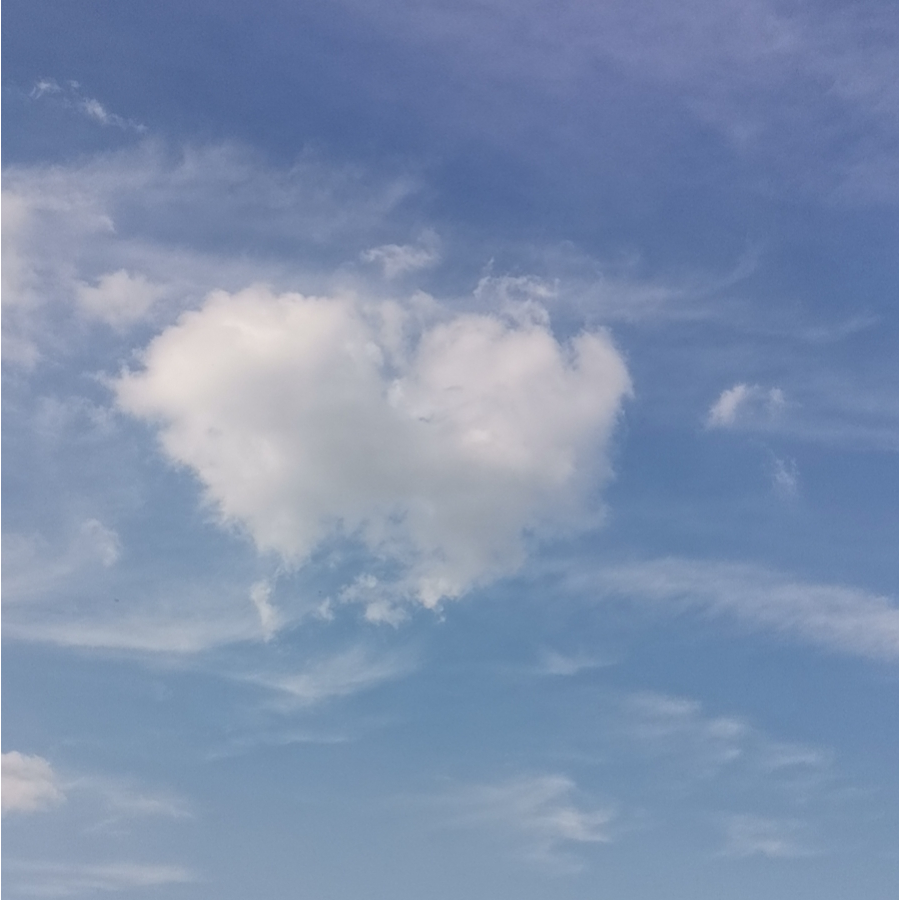 一只小小晏