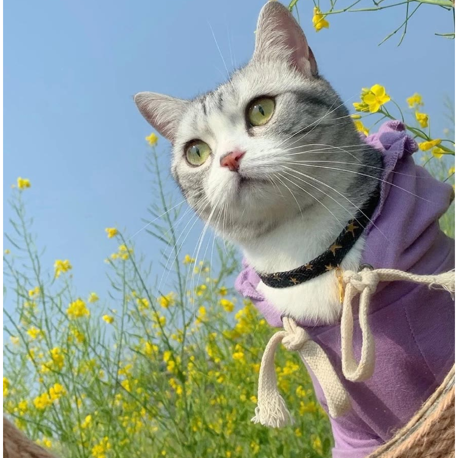 滴答咪