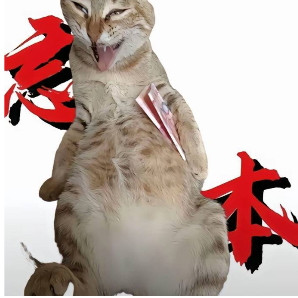 摆烂波比