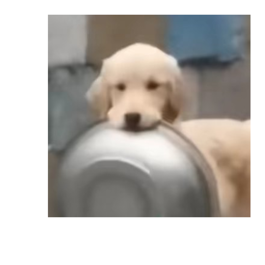 水月