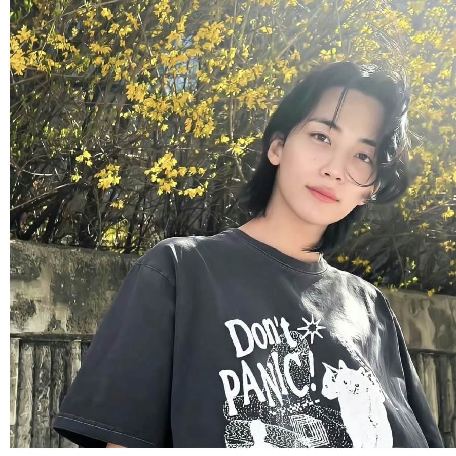 应衡