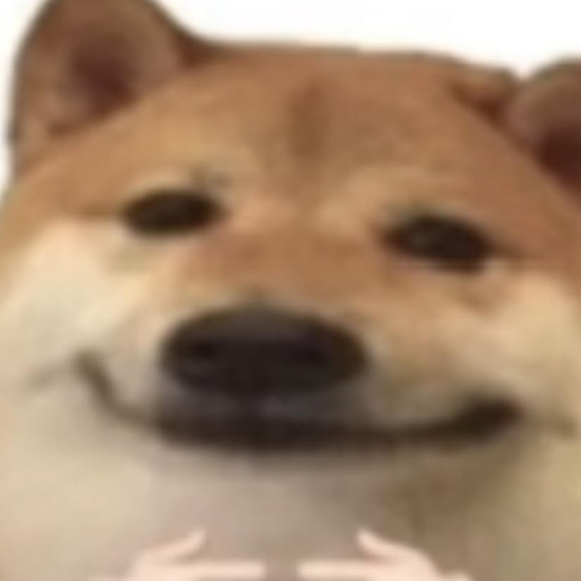 真实吃播你八哥