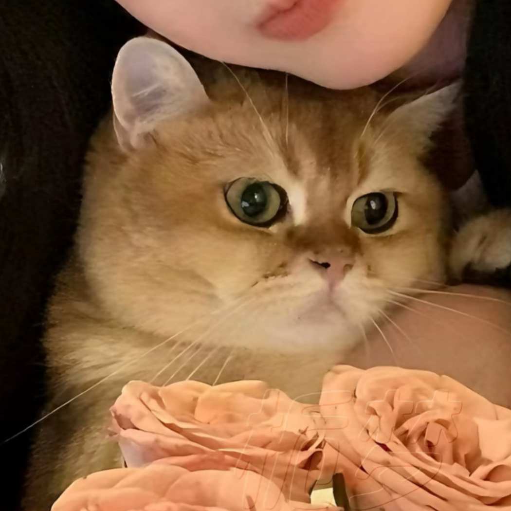 。
