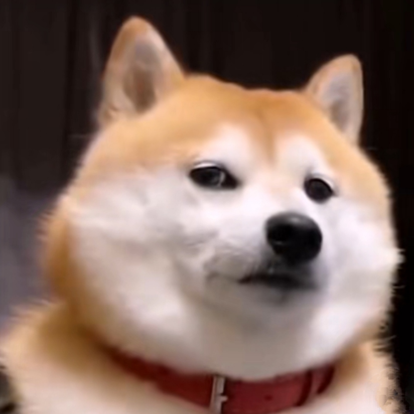 Σ_(꒪ཀ꒪」∠)