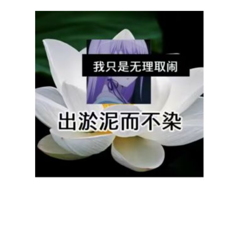 我u➕啊只是无理取闹