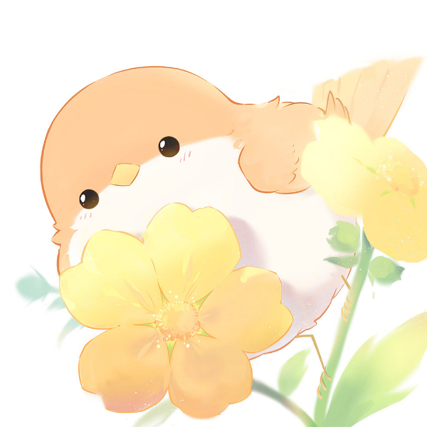 拾柒