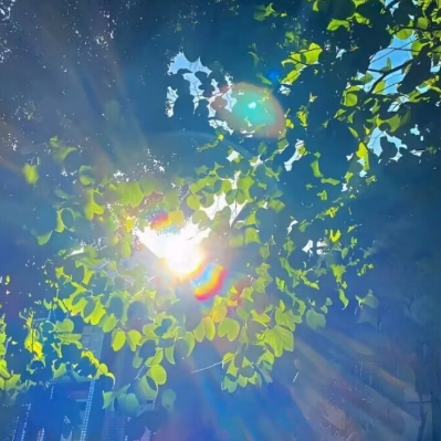 ᝰꫛꫀꪝ