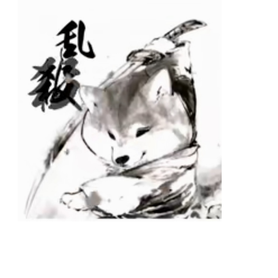 光轨