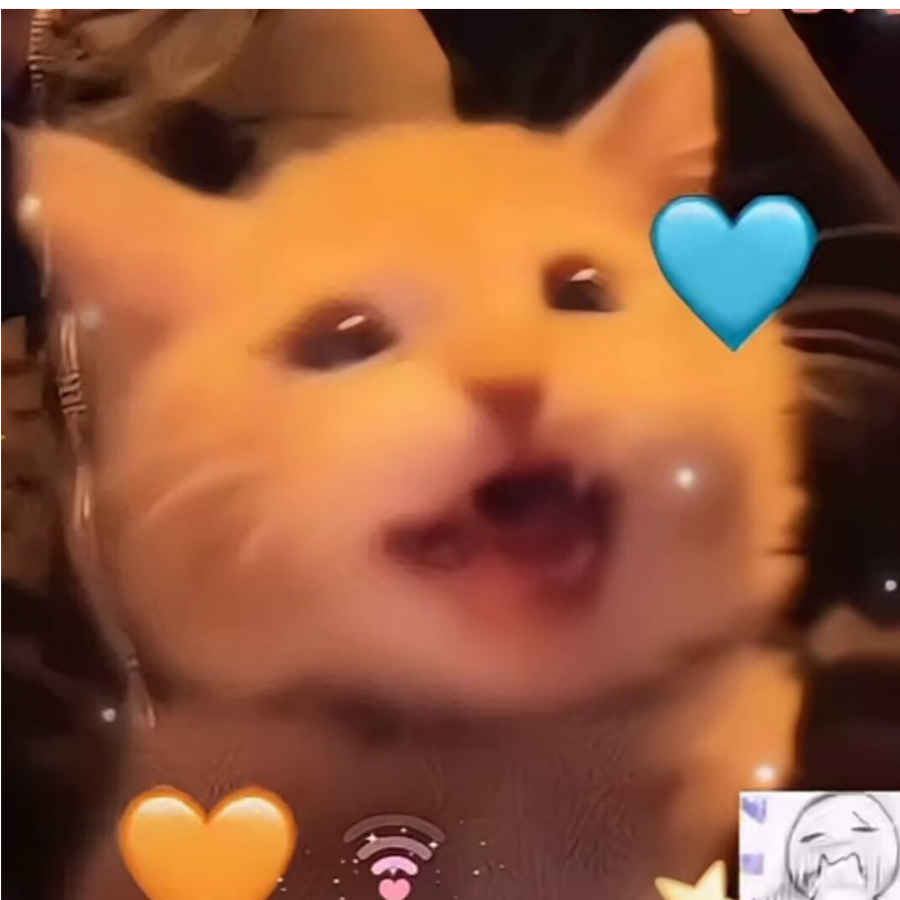小怡(⸝⸝•‧̫•⸝⸝)^